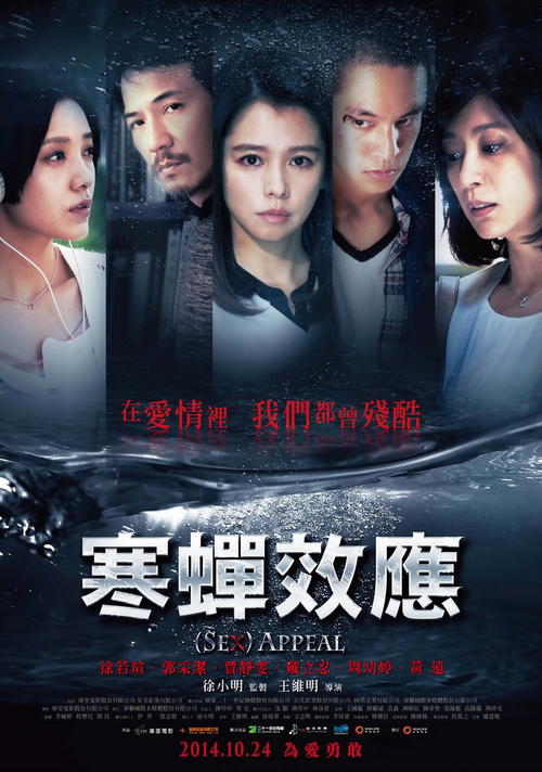 中国教师资格网学历证书信息怎么修改
